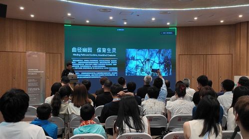 向世界展示中國理念 大阪世博會中國館中央美術(shù)學(xué)院展陳策劃與設(shè)計學(xué)術(shù)交流分享會