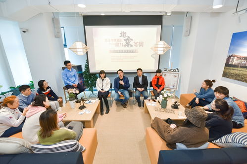 冰雪交融，文化互鑒 2020年冬奧文化交流會(huì)公益活動(dòng)在京成功舉行